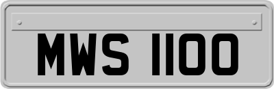 MWS1100