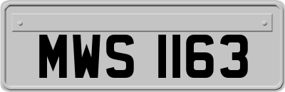 MWS1163