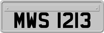MWS1213