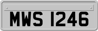 MWS1246