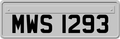 MWS1293