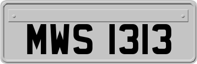 MWS1313