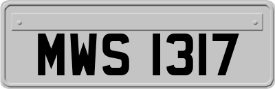 MWS1317
