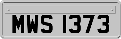 MWS1373