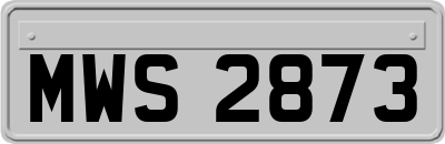MWS2873