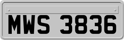MWS3836