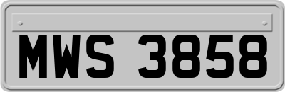 MWS3858