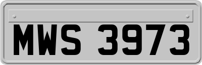 MWS3973
