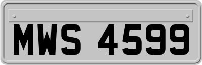 MWS4599