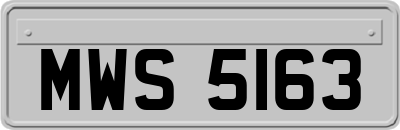 MWS5163
