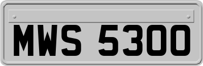 MWS5300