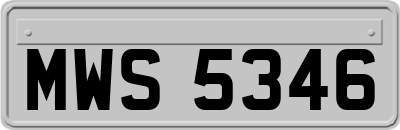 MWS5346
