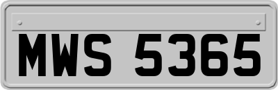 MWS5365