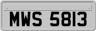 MWS5813
