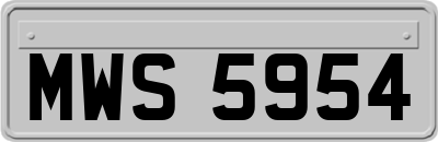 MWS5954