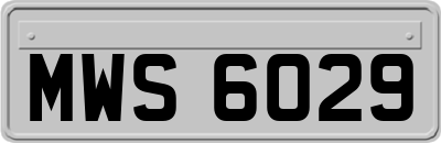 MWS6029