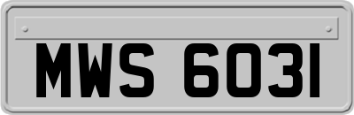 MWS6031
