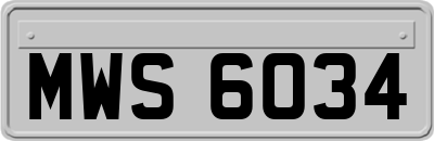 MWS6034