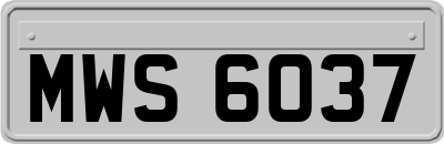 MWS6037