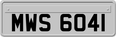 MWS6041