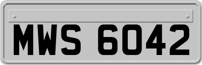 MWS6042