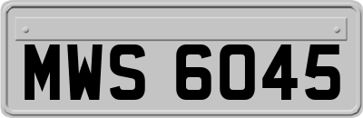 MWS6045