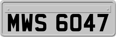MWS6047