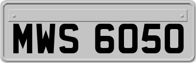 MWS6050