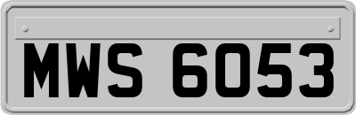 MWS6053