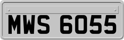 MWS6055
