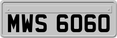 MWS6060