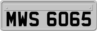MWS6065