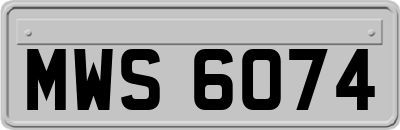 MWS6074