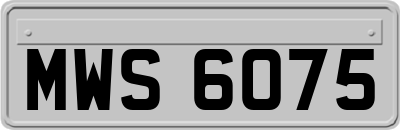 MWS6075