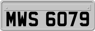 MWS6079