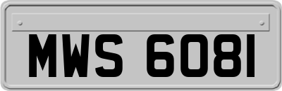 MWS6081