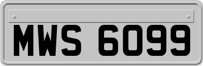 MWS6099