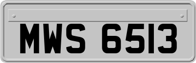 MWS6513