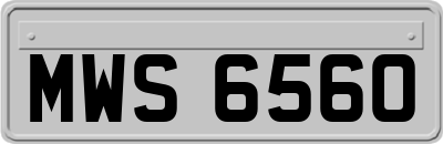 MWS6560