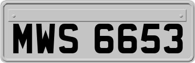 MWS6653