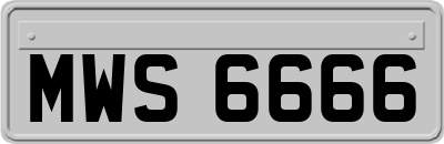 MWS6666