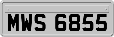 MWS6855
