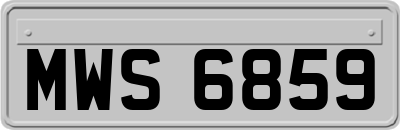 MWS6859