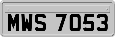 MWS7053