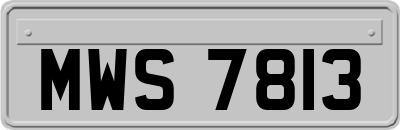 MWS7813