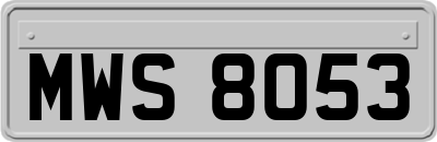 MWS8053