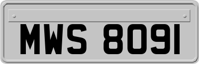 MWS8091