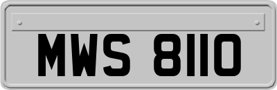 MWS8110