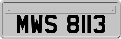 MWS8113