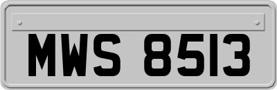 MWS8513